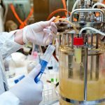 A small lab-scale bioreactor being used to grow yeast cells during a fed-batch experiment