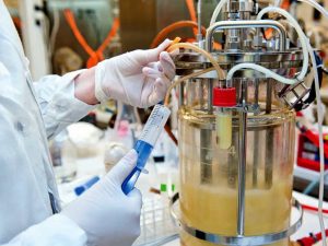 A small lab-scale bioreactor being used to grow yeast cells during a fed-batch experiment